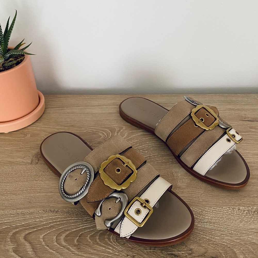 Coach Suede Buckle Sandals, Size 6